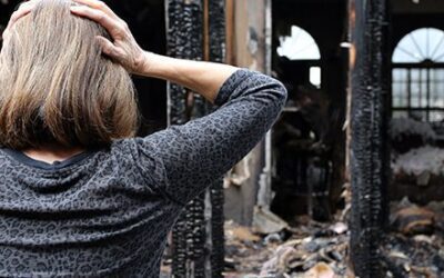 Limpieza de Incendios